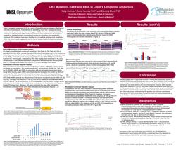 CRX Mutations K88N and E80A in Leber’s Congenital Amaurosis